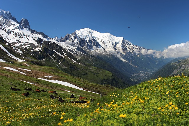 Mont Blanc Vacation